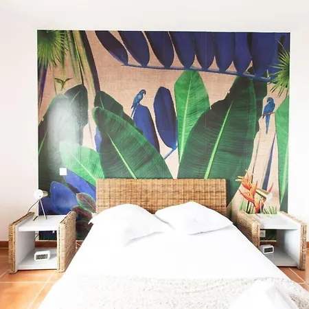 Villa Oliveraie Furnished